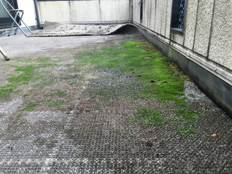 苔だらけのベランダ防水