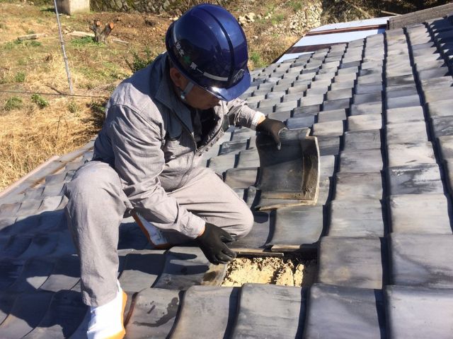 屋根調査